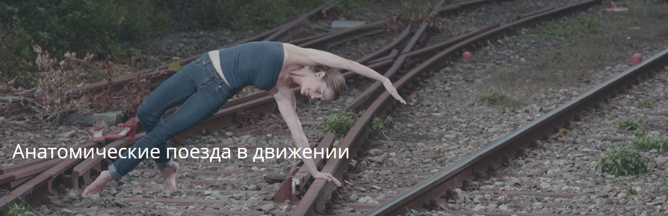 [Artofmotion] Анатомические поезда в движении (202_0.png